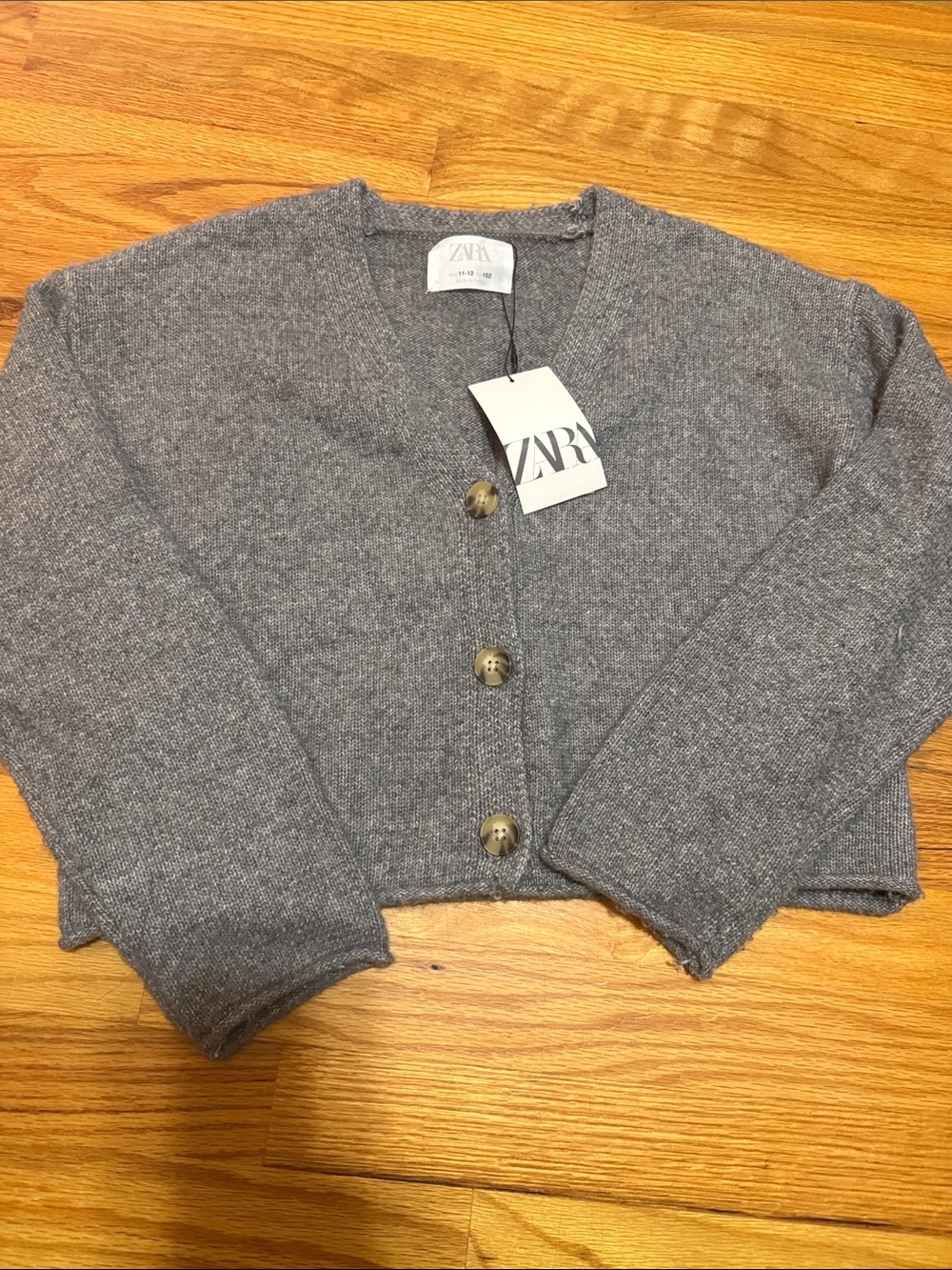 Zara Gray Men's V-Neck Sweater